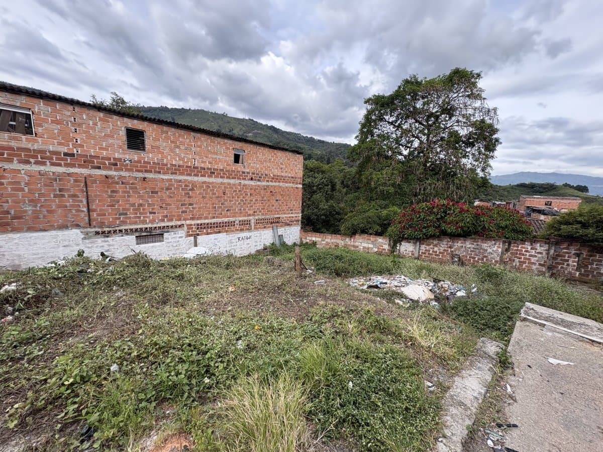 Lote - Foto 6