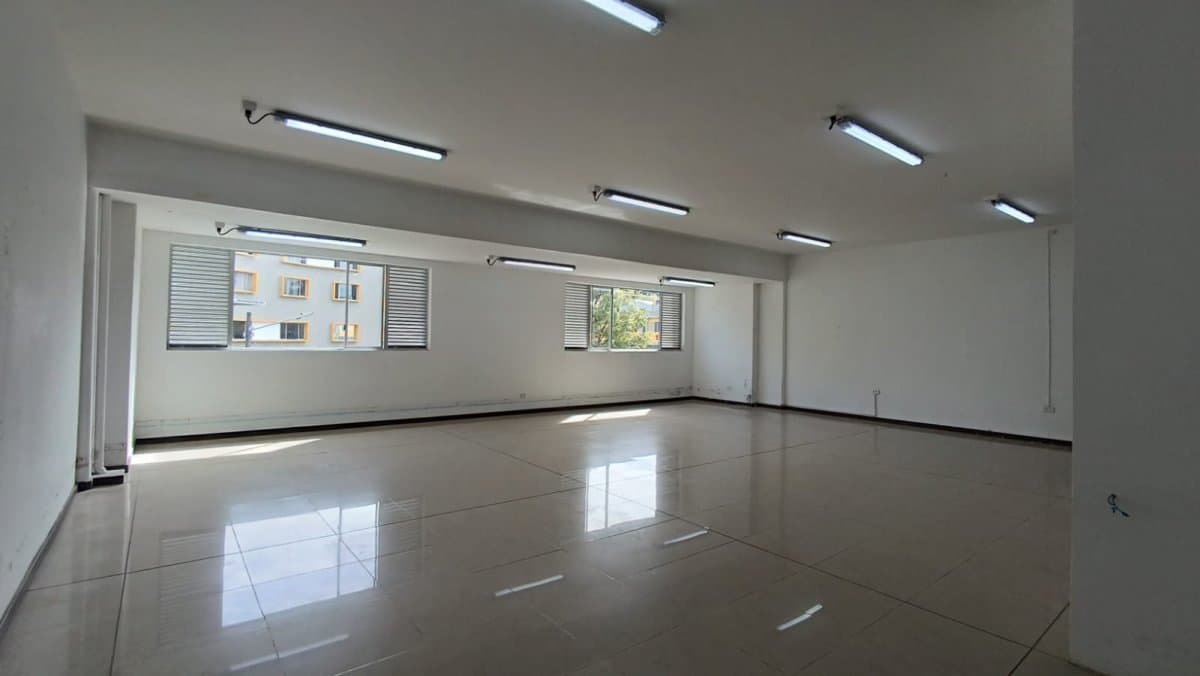 Bodega - Foto 19