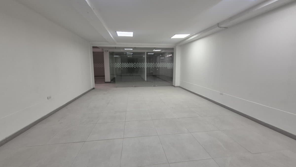 Bodega - Foto 4