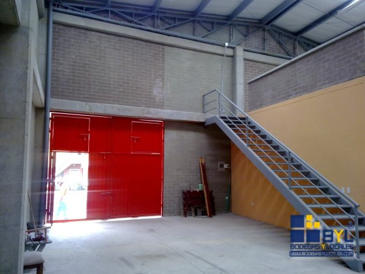 Bodega - Foto 3