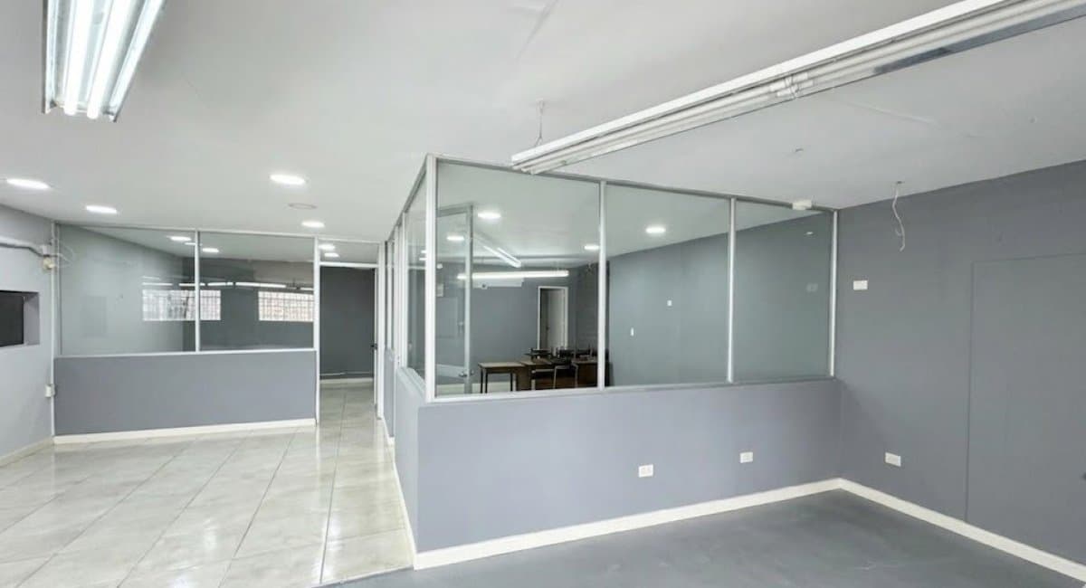 Bodega - Foto 3