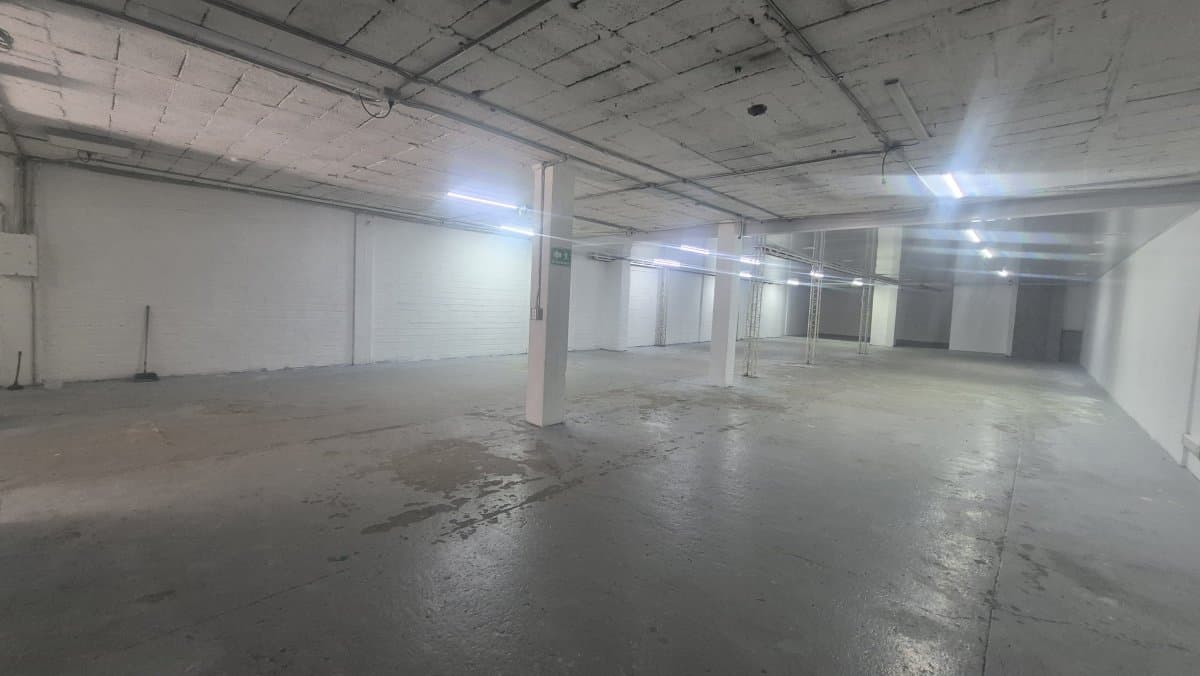Bodega - Foto 5