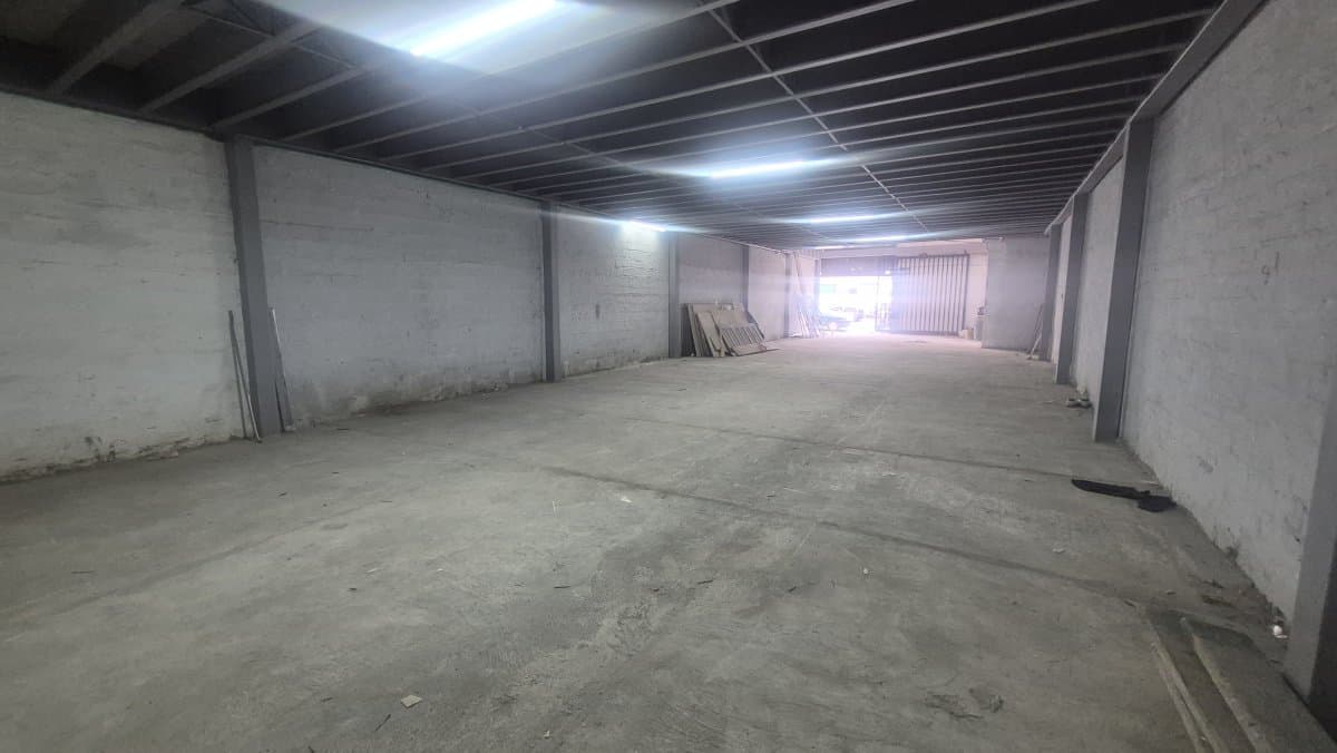 Bodega - Foto 3