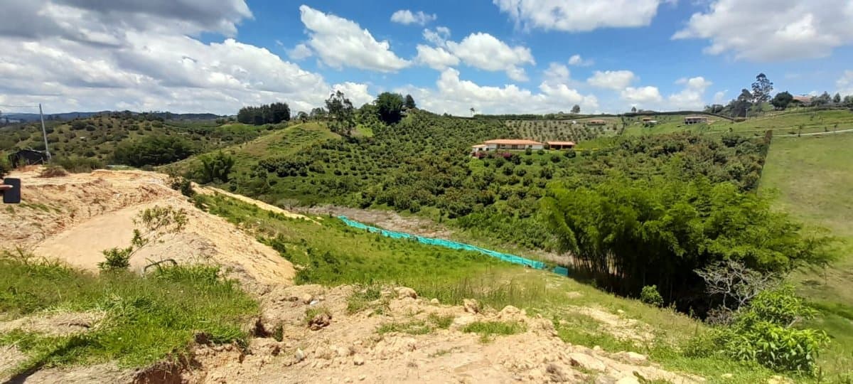Lote - Foto 4