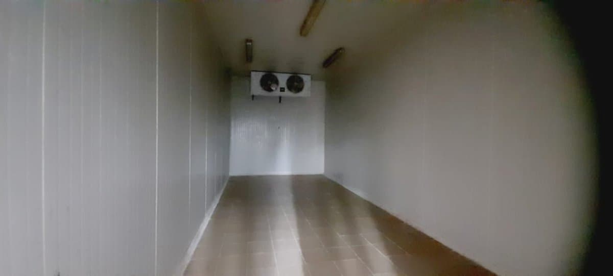 Bodega - Foto 5