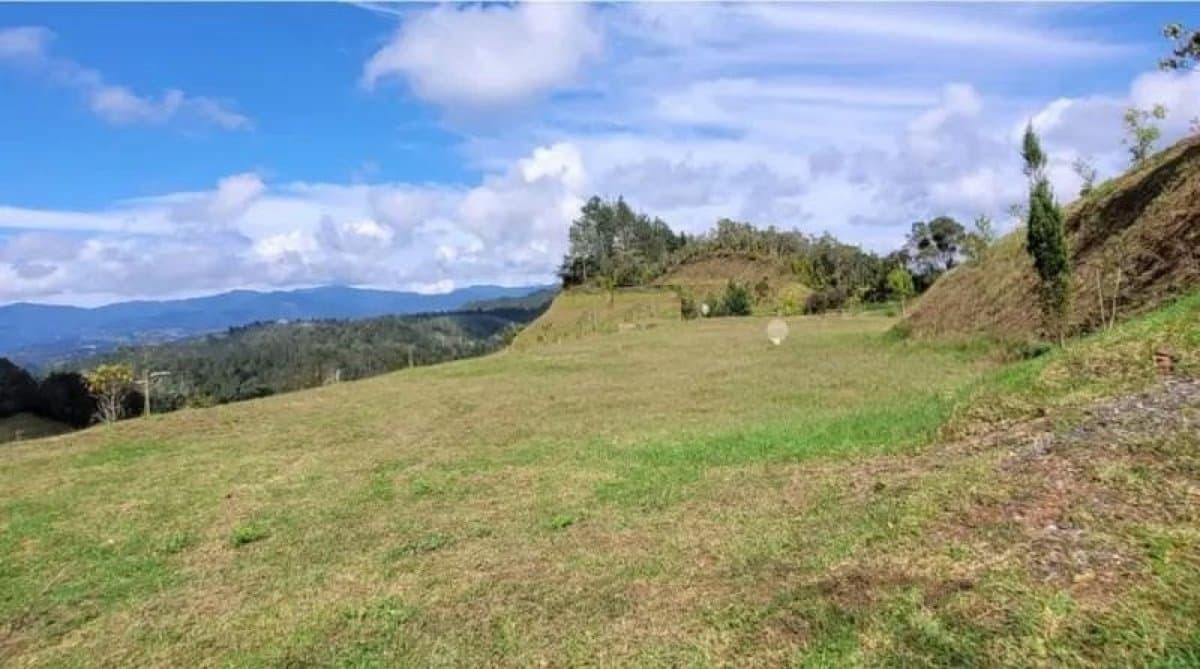 Lote - Foto 4