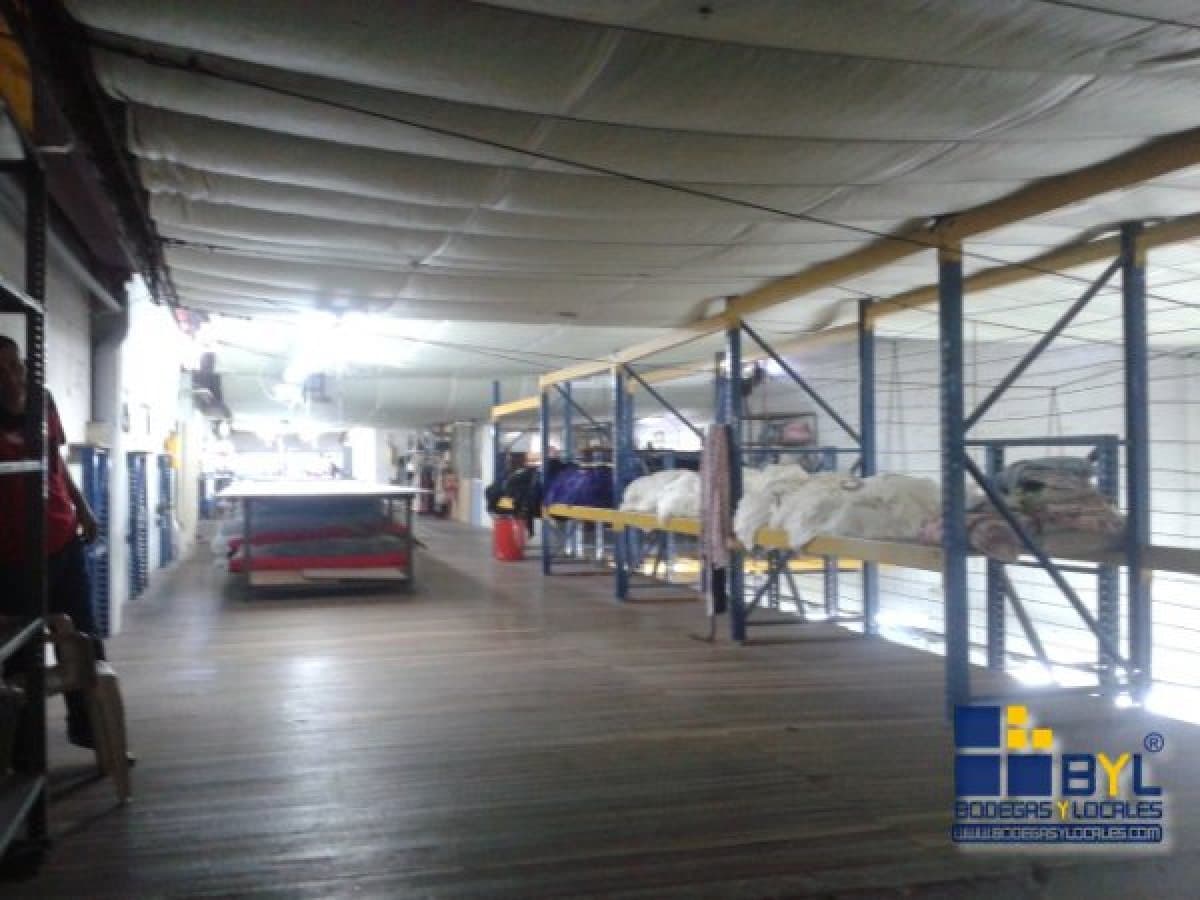 Bodega - Foto 18
