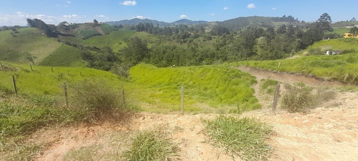 Lote - Foto 15