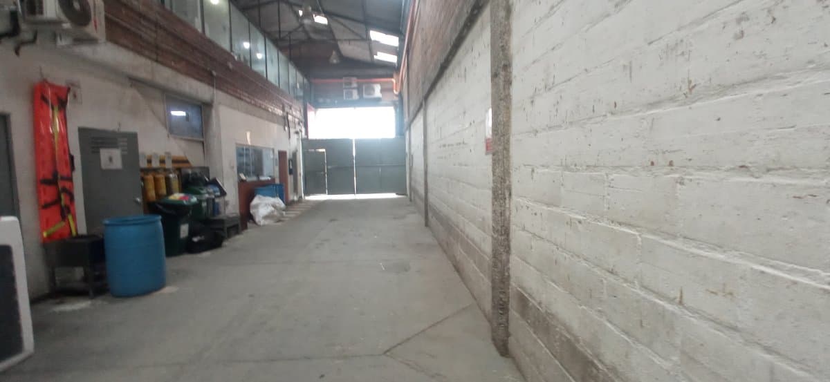 Bodega - Foto 2