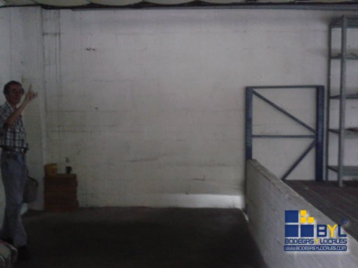 Bodega - Foto 17