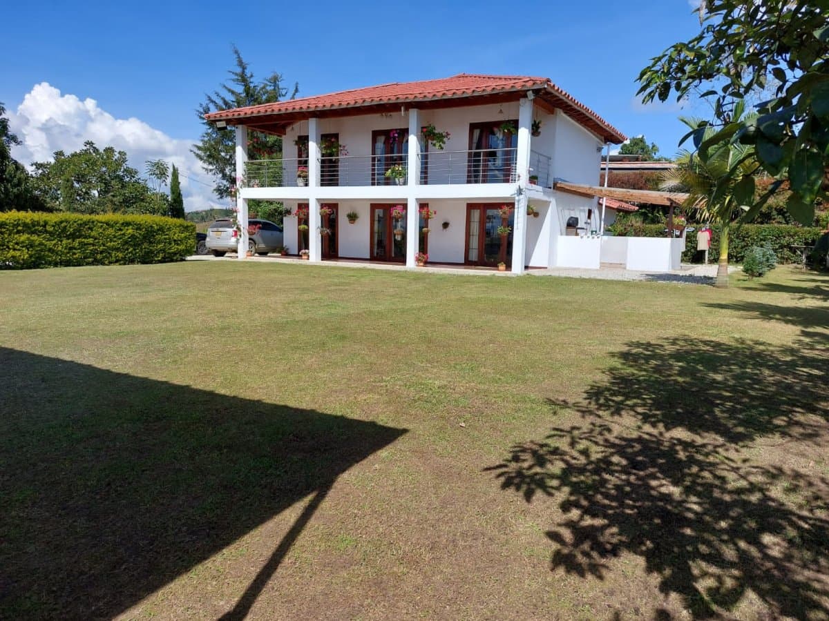 Lote - Foto 7