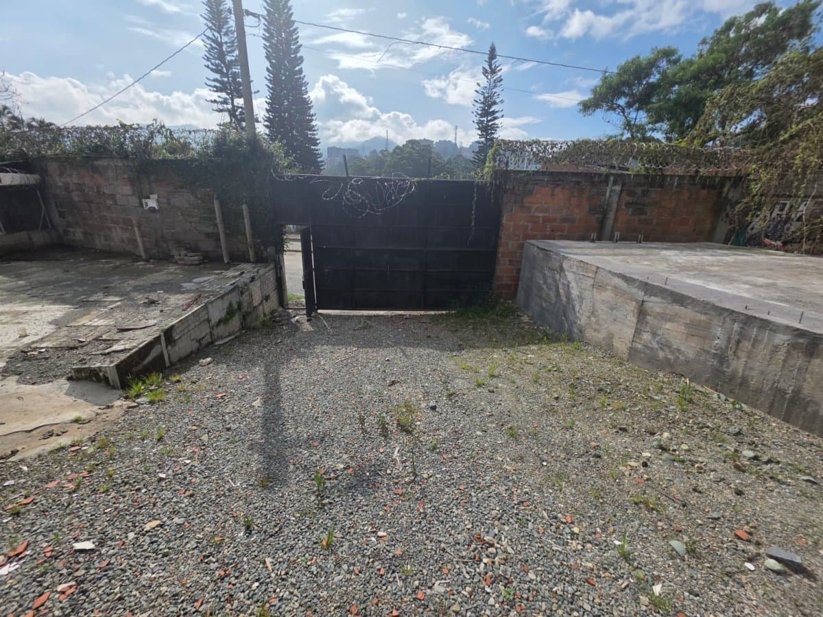 Lote - Foto 3