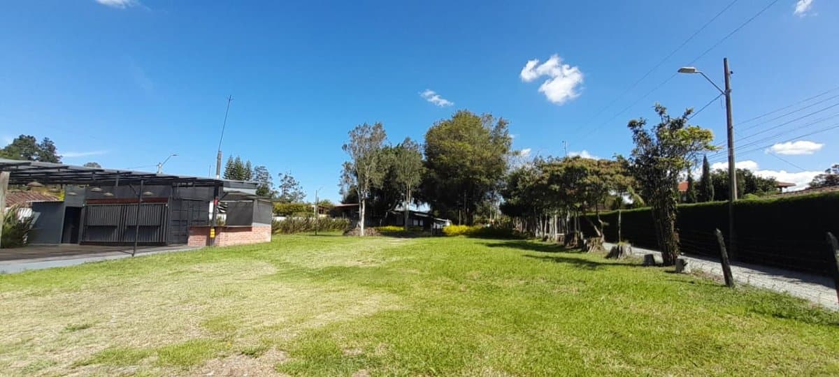 Lote - Foto 5