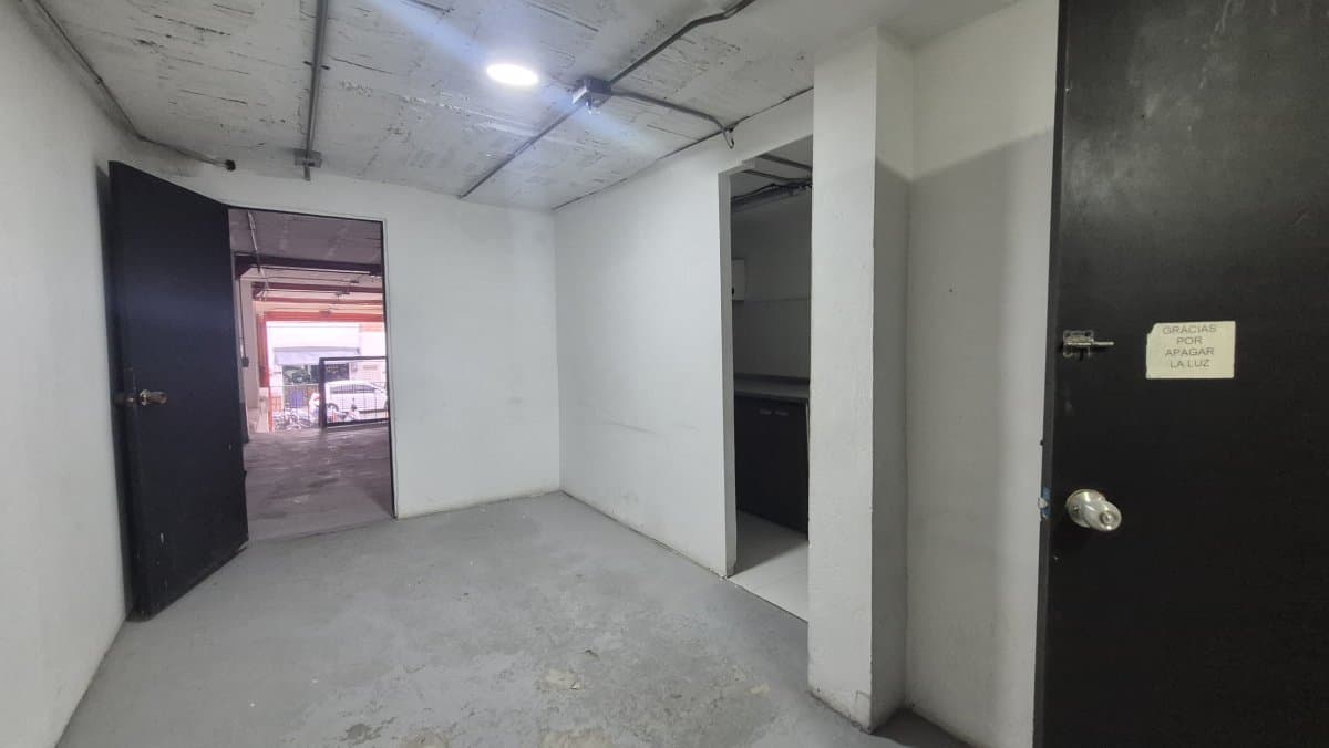 Bodega - Foto 10