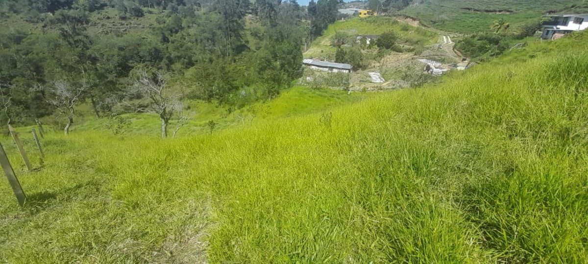Lote - Foto 9