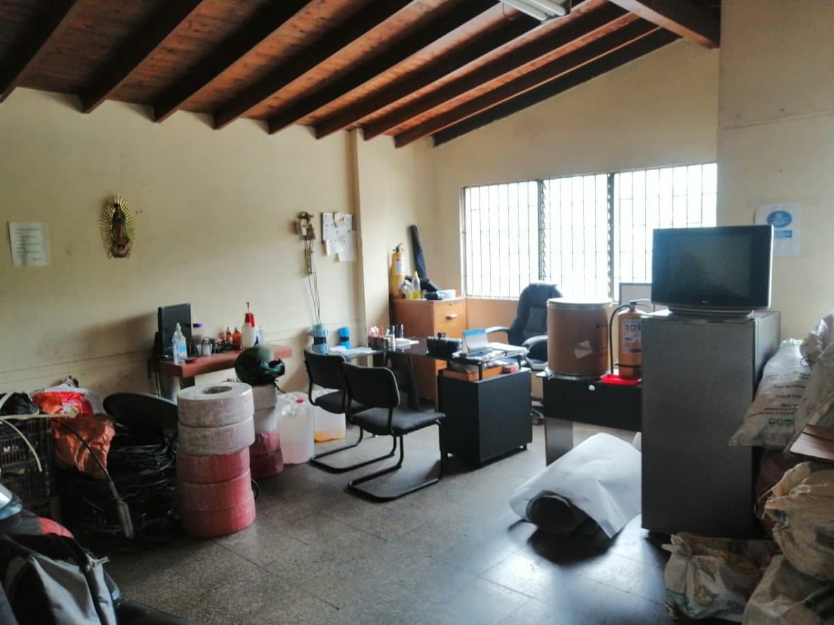 Bodega - Foto 3
