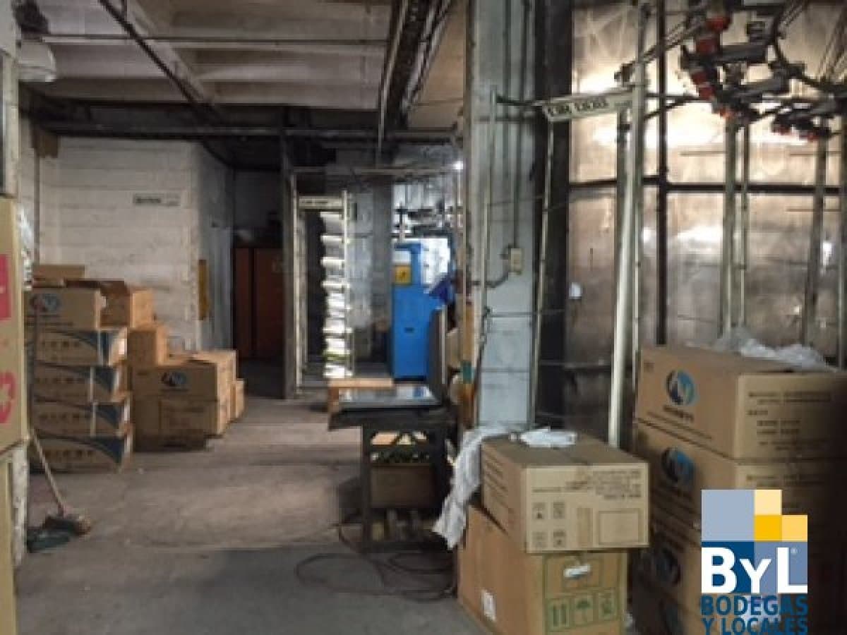 Bodega - Foto 4