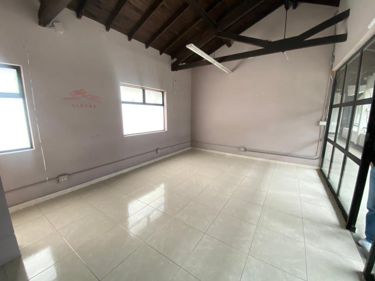 Local - Foto 2
