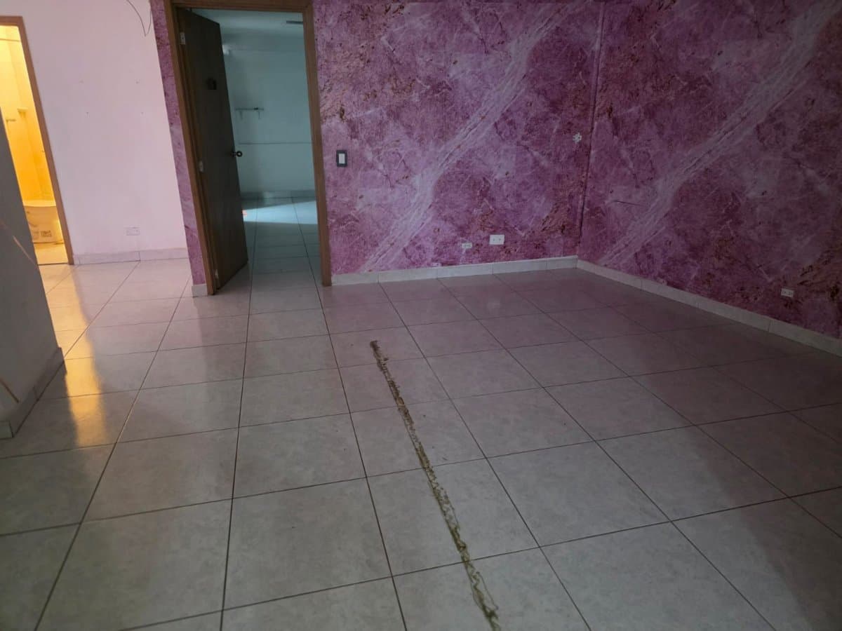 Bodega - Foto 17