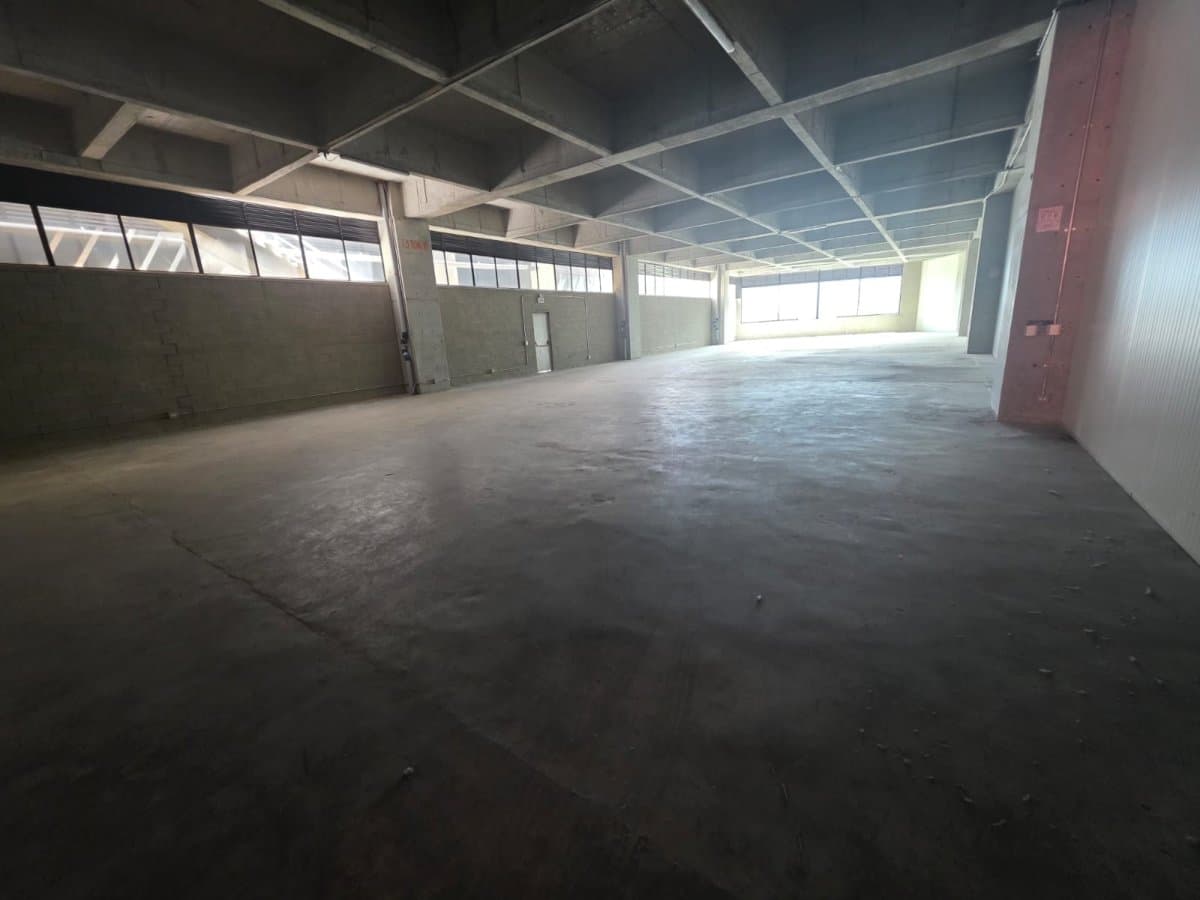 Bodega - Foto 1