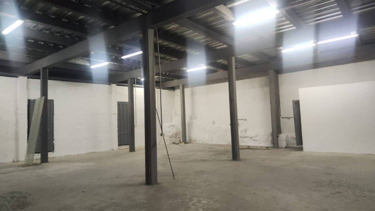 Bodega - Foto 3
