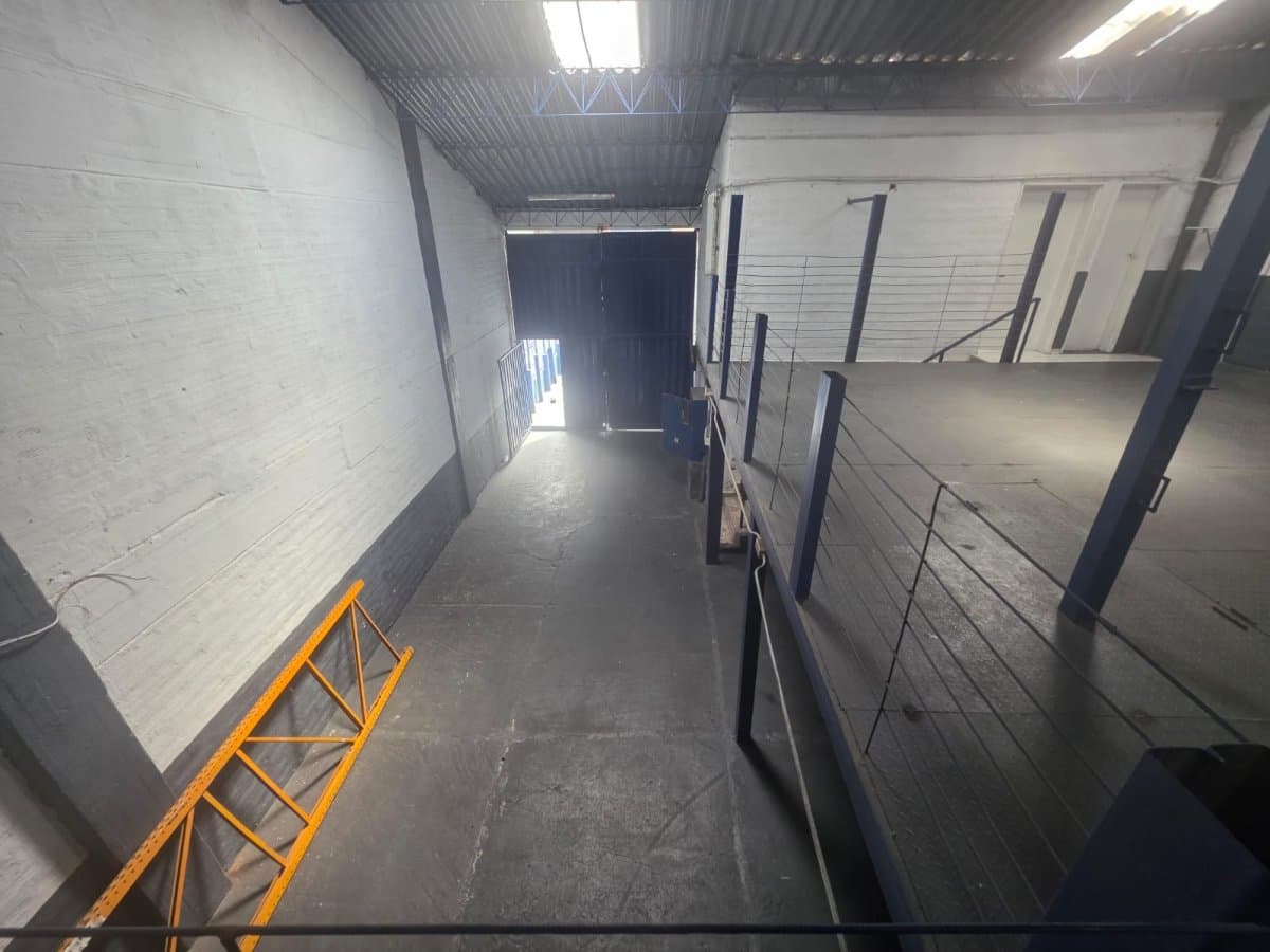 Bodega - Foto 14