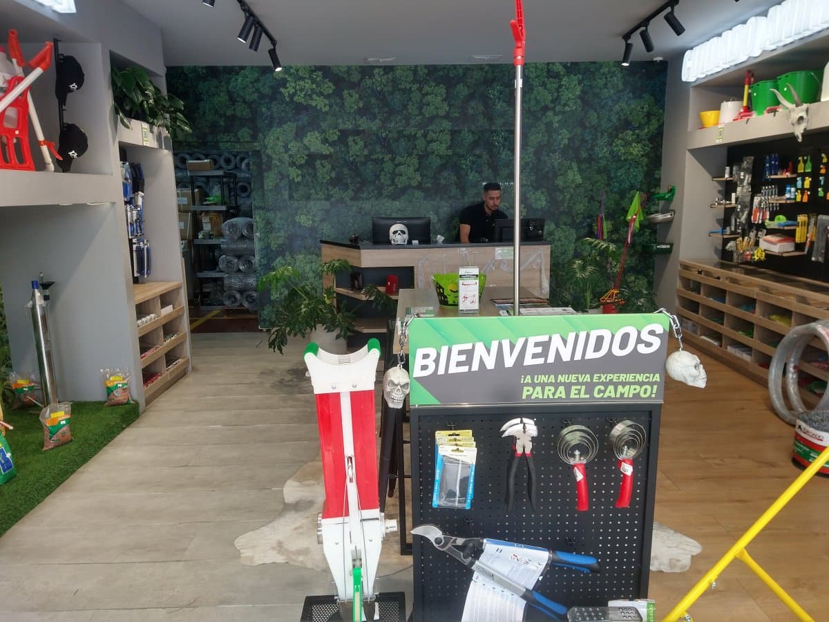 Bodega - Foto 7