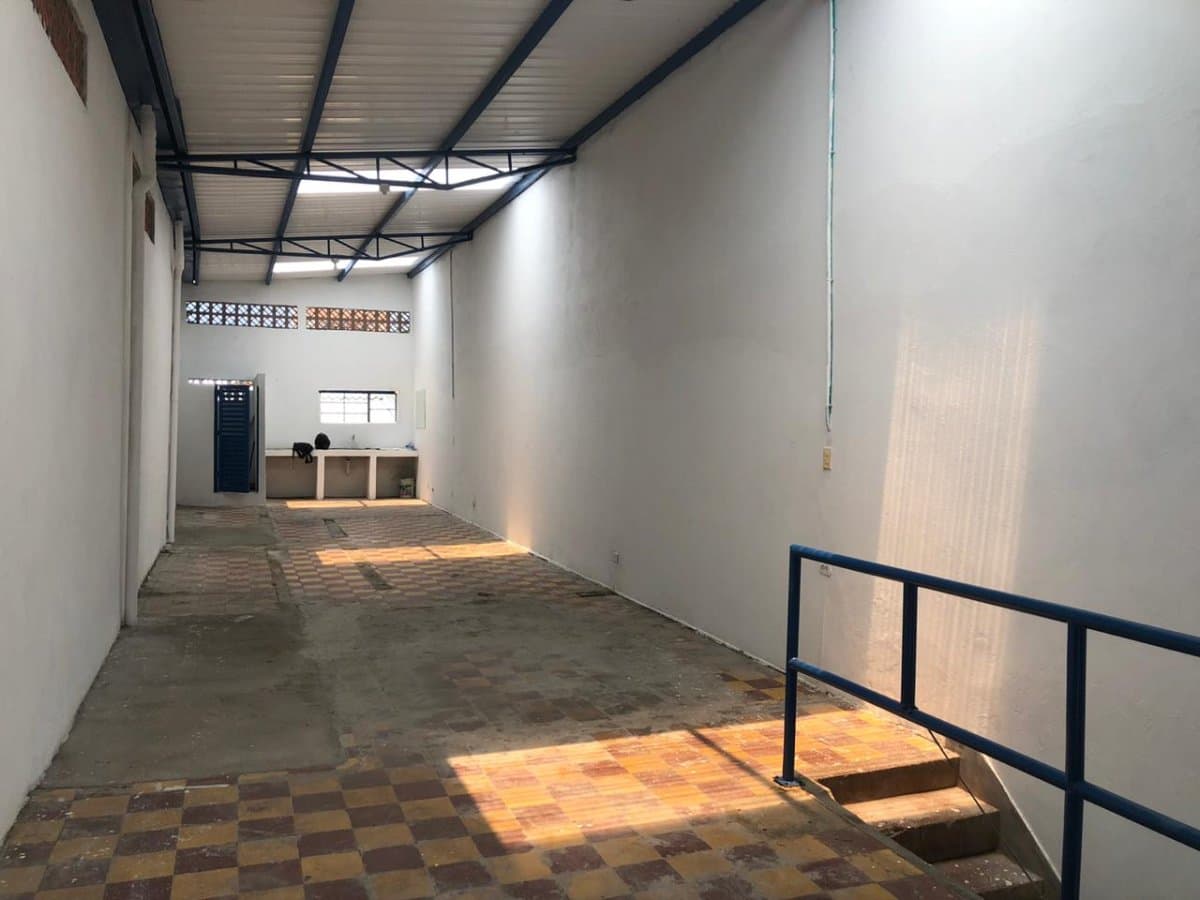 Bodega - Foto 3