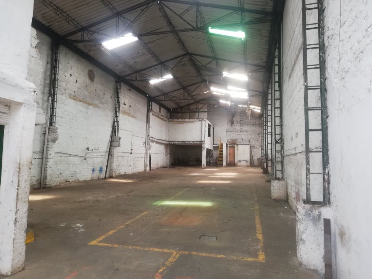 Bodega - Foto 5