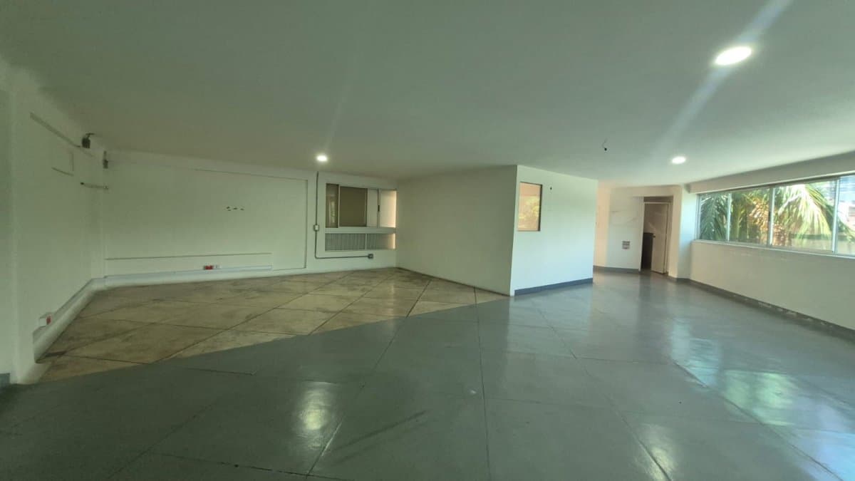 Bodega - Foto 2
