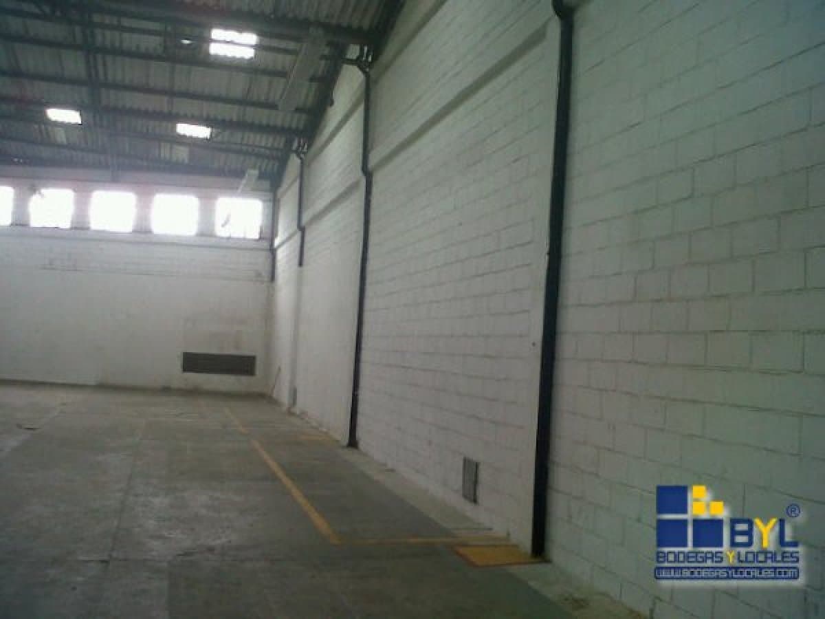Bodega - Foto 2