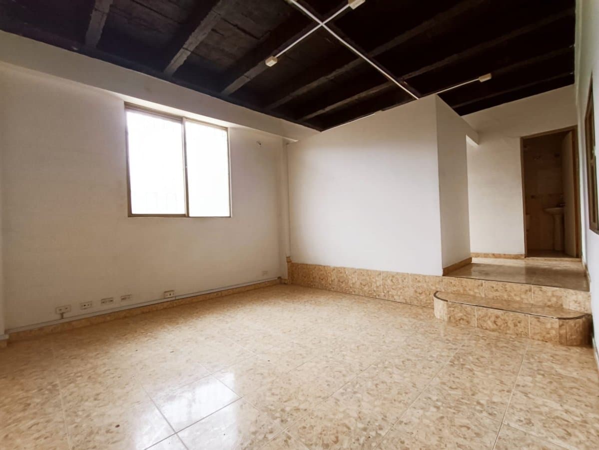 Bodega - Foto 4