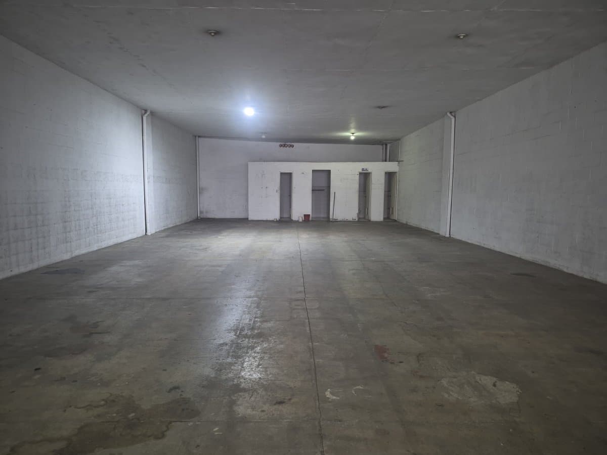 Bodega - Foto 4