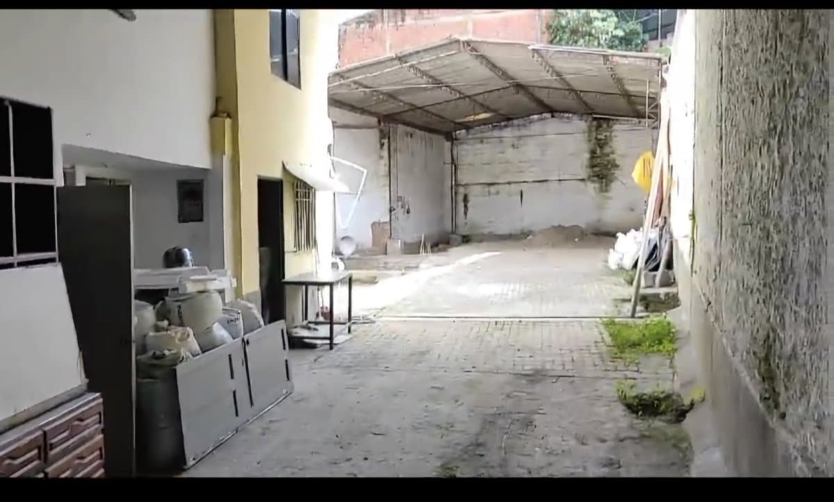 Bodega - Foto 3