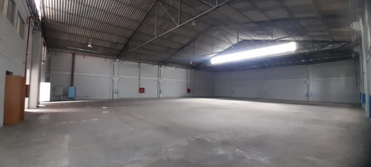 Bodega - Foto 5