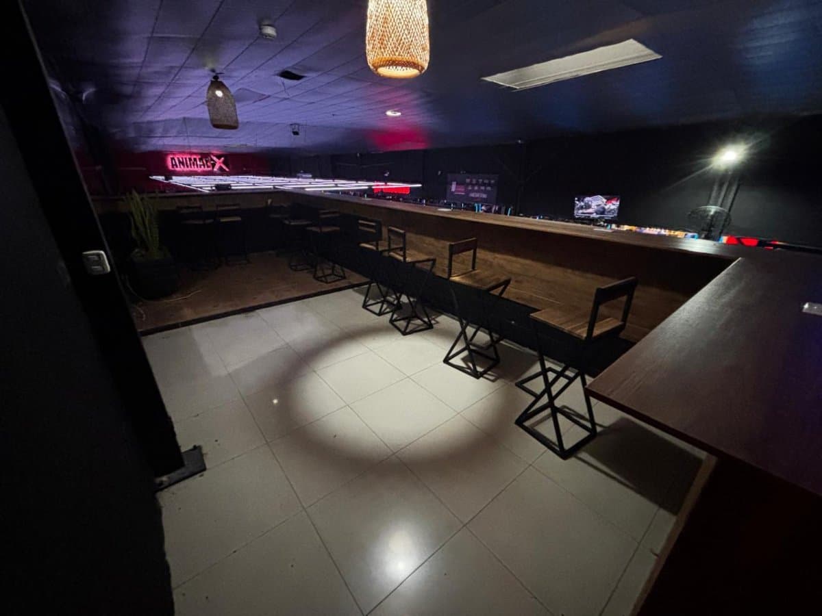 Bodega - Foto 5