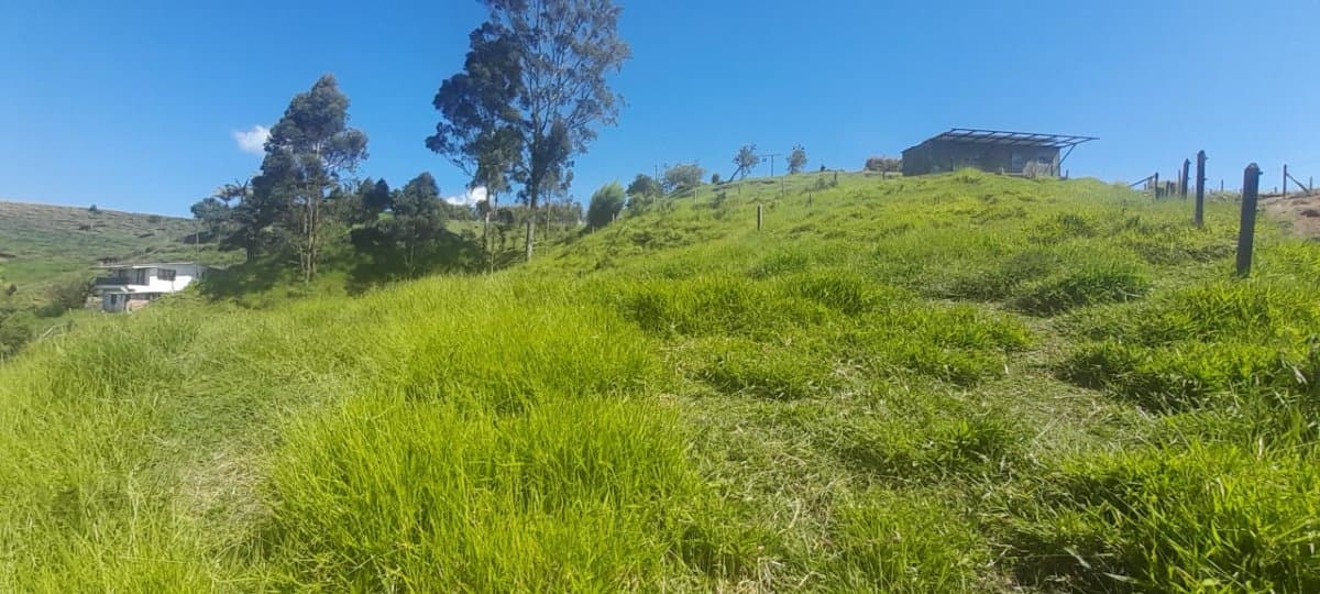 Lote - Foto 11