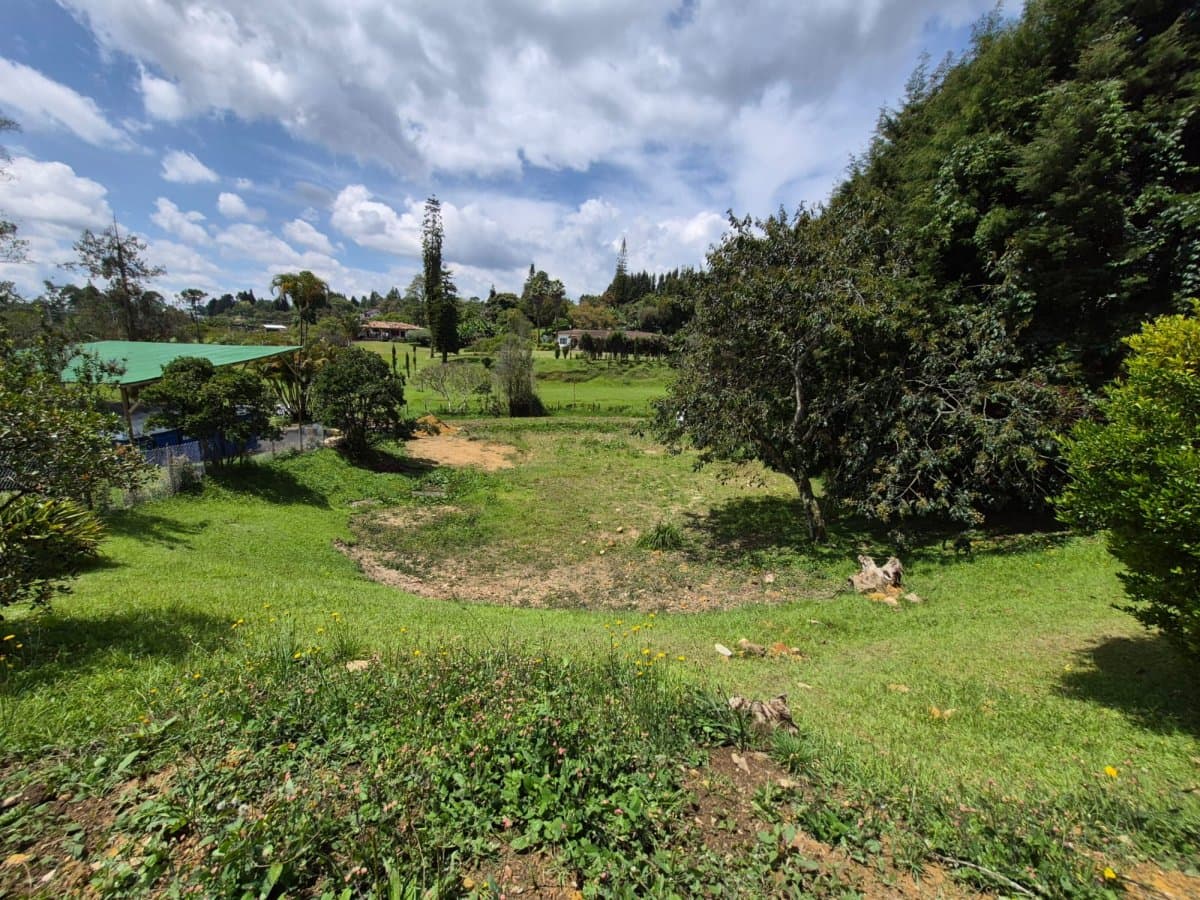 Lote - Foto 6