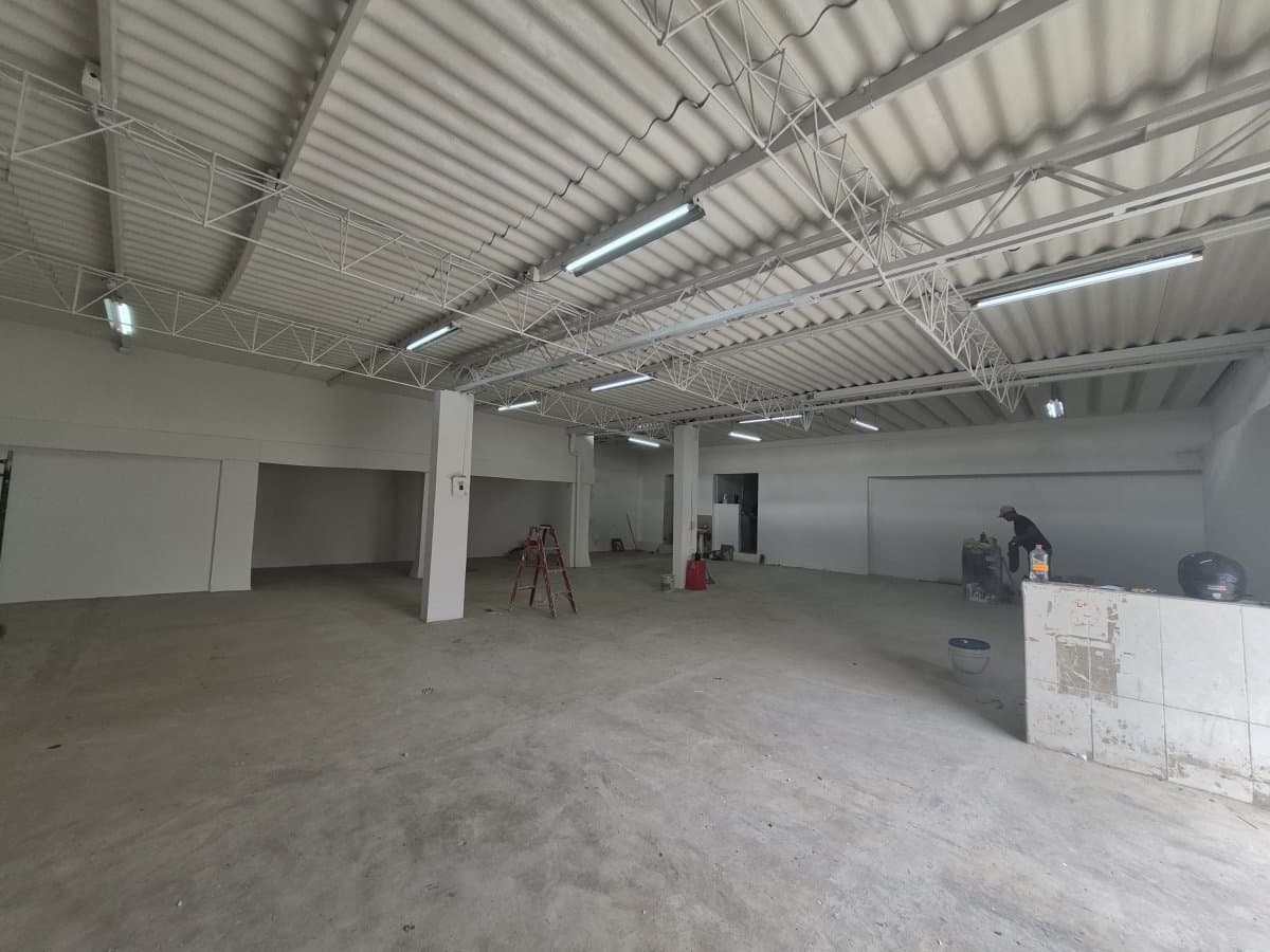 Bodega - Foto 3
