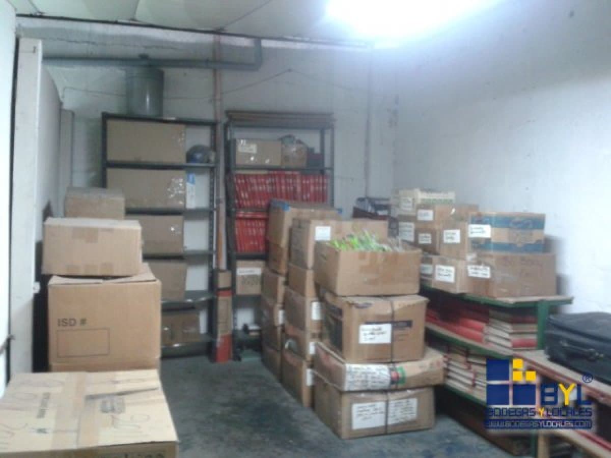 Bodega - Foto 16