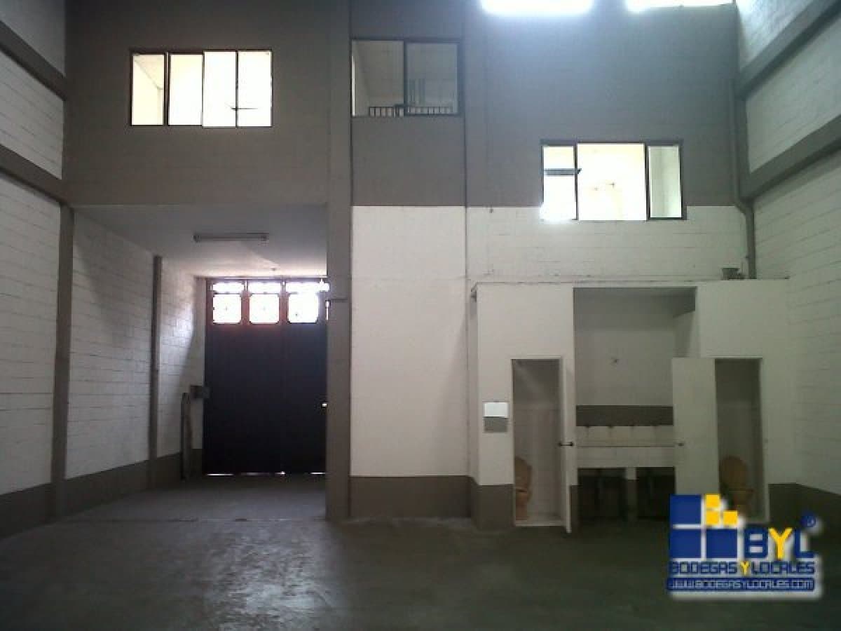 Bodega - Foto 3
