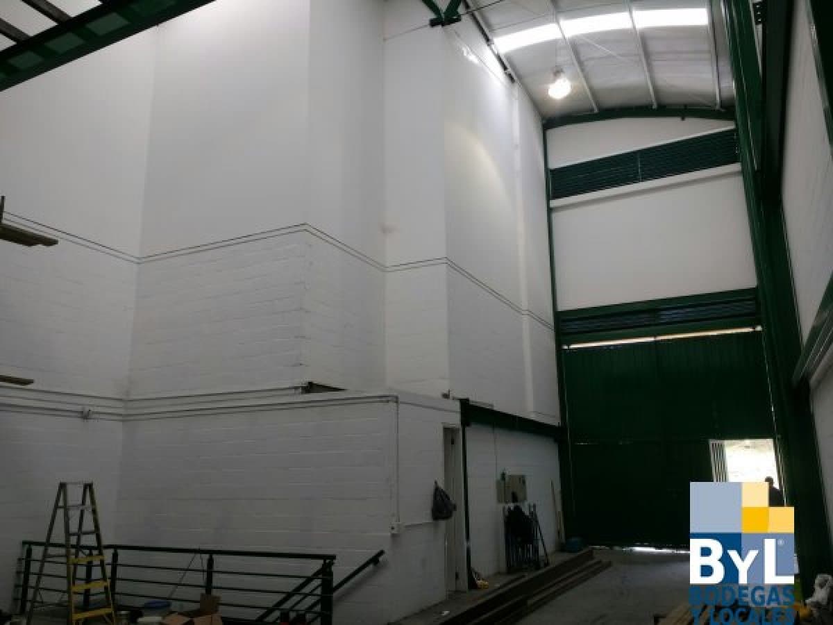 Bodega - Foto 3