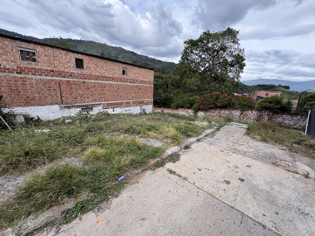 Lote - Foto 4