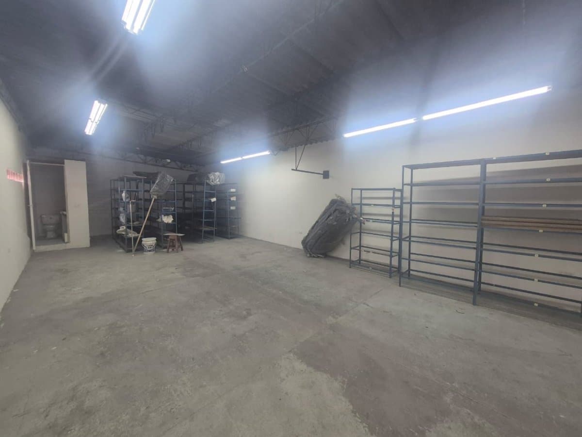Bodega - Foto 4