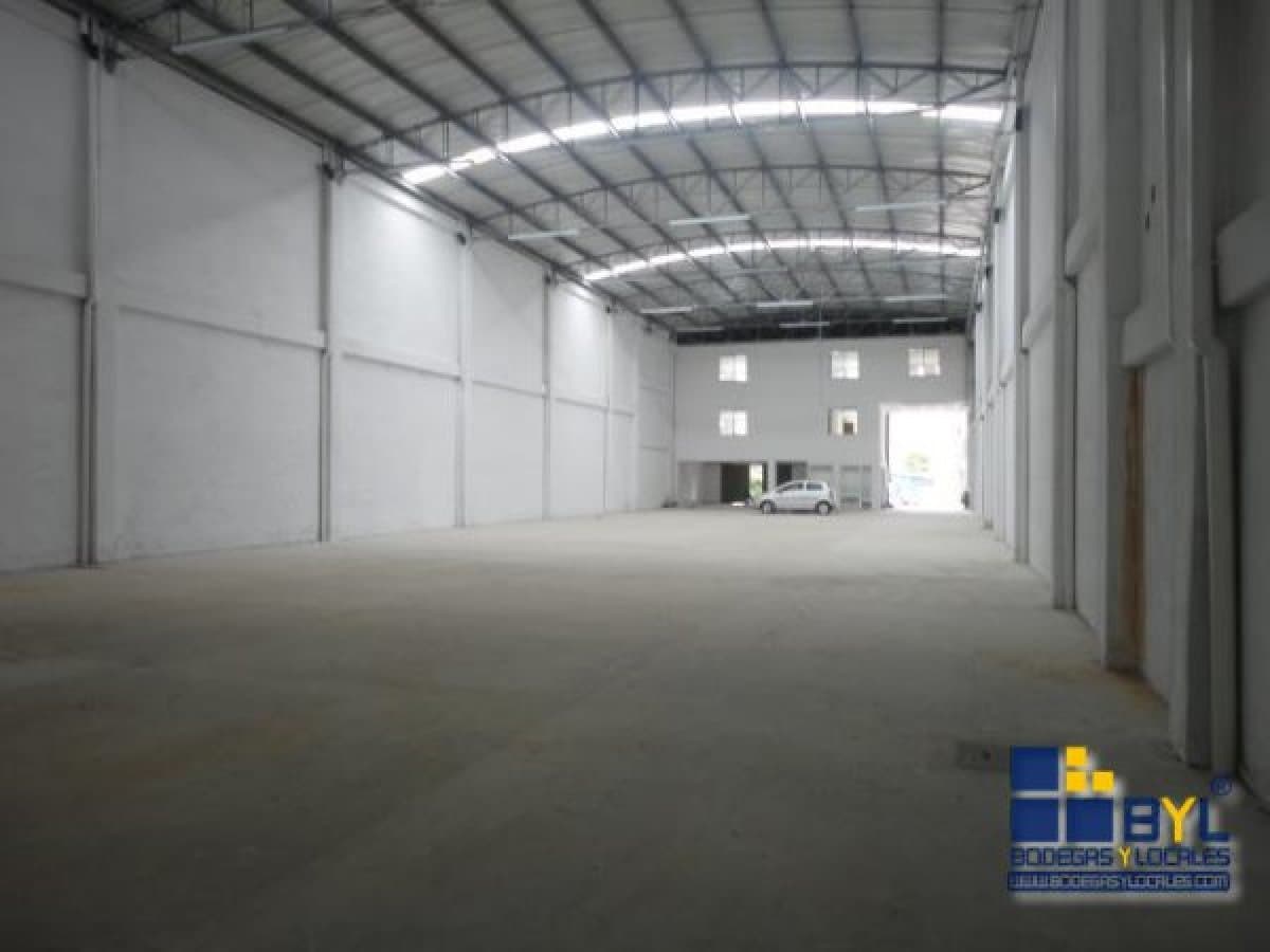 Bodega - Foto 5