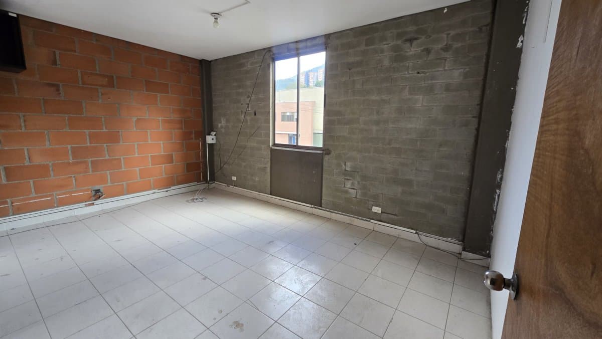 Bodega - Foto 12