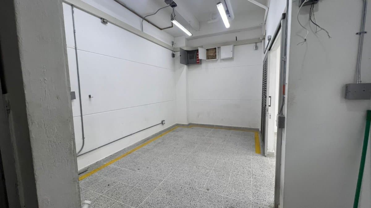 Bodega - Foto 4