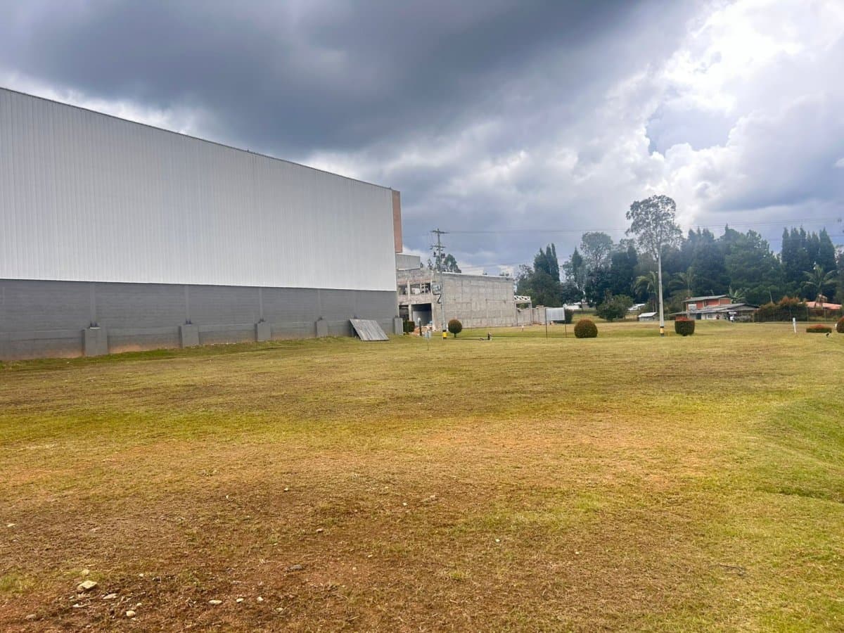 Lote - Foto 2