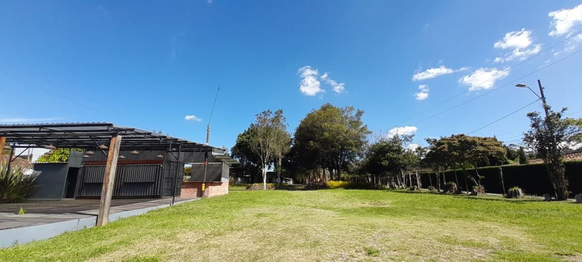 Lote - Foto 4