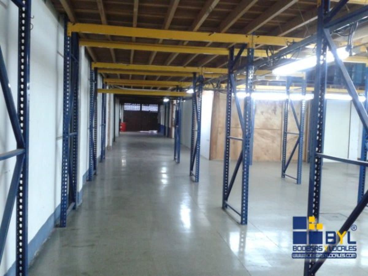 Bodega - Foto 5